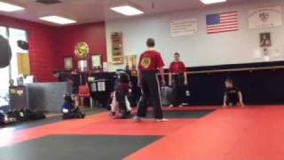 Tiny tiger sparring