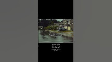 سوره غافر القارئ ابوبكر الشاطري #غزة_تجوع
