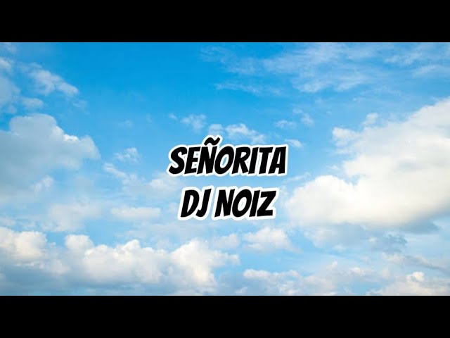 DJ Noiz - Señorita ft. Kennyon Brown, Donell Lewis, Konecs (Lyric Video) class=