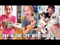 A DAY IN THE LIFE WITH 16 PETS!!