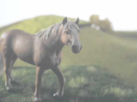 Auf YouTube findest du die angesagtesten Videos und Tracks. Außerdem kannst du eigene Inhalte hochladen und mit Freunden oder gleich der ganzen Welt teilen.