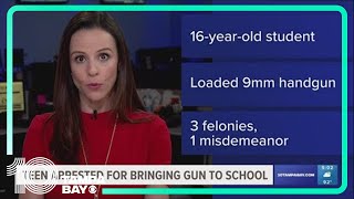 Teen accused of bringing stolen loaded gun inside backpack to Hillsborough High School