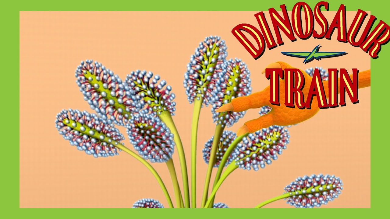 Drosera Plant - Dinosaur Train - The Jin Henson Company
