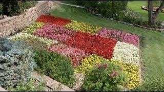 From the Ground Up: Prairie Yard & Garden