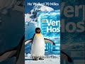 Nihilist Penguin Walked 70 Miles For THIS?