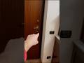THANOS DI SQUID GAME STA APRENDO LA PORTA DI CASA MIA! #giox97 #shorts #squidgame #horror #thanos