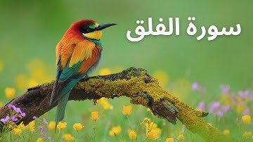 Surat Al-Falaq (The Daybreak)  سورة الفلق