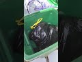 Cold Cranking files