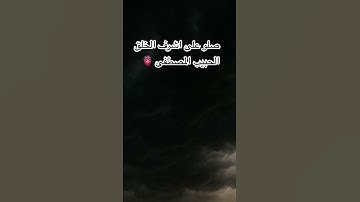 الصلاة على النبي #اكسبلور #تلاوة_خاشعة #لايك #foryou #حالات_واتس #راحة_نفسية #تيك_توك #duet #دويتو