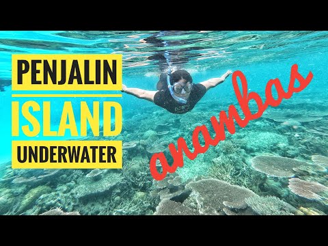 Pulau Penjalin Anambas - Snorkeling di Pulau Penjalin : Video Underwater @MartoyoOthoy