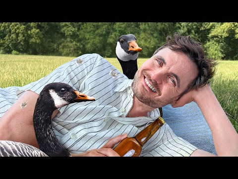 Jeder im Park immer
