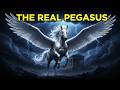 Pegasus The Shocking Truth About The Winged Horse Greek Myth 