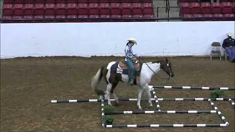 Danielle Kemper & Mr Jack Cool 2011 AjPHA World Show