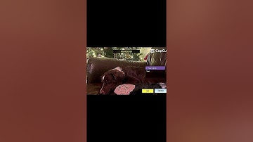 #capcut #shorts #fyp #codm #cod #callofduty #dog #cute #adorable