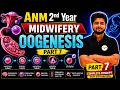 🔥 ANM 2nd Year Midwifery | Oogenesis Part 7 | Ovulation का पूरा Concept | Exam में यही पूछा जाता है