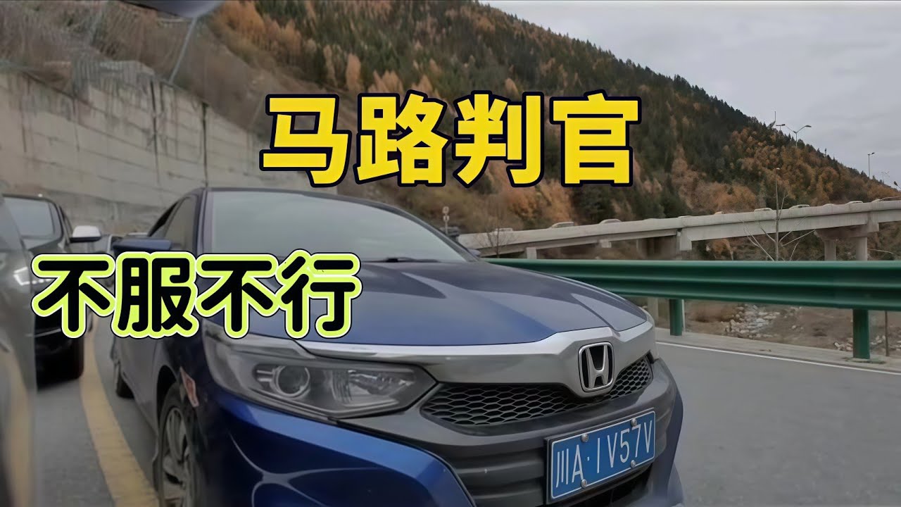 逆行狗剋星登場！馬路判官硬核制裁，看完極度舒適