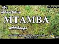 JINSI MTI WA MTAMBAA UNAVYOTIBU MAGONJWA SUGU JINSI MTI WA MTAMBAA UNAVYOTIBU MAGONJWA SUGU