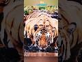 Tiger Dangerous Eyes Ytshorts Animals Funny Shorts Short 