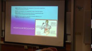 Provost Lecture - Kathleen Rourke, PhD