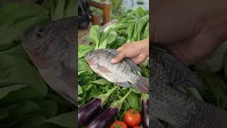 Preskong gulay og tilapia 🐟🌱 #organicfarming #farmers #farminglife