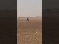 Het gaat in de Morocco Desert Challenge niet altijd over rozen...