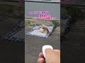 野良猫や保護が必要な猫を傷つけずに捕獲するための「遠隔操作式ポップアップ保護ネット(通称:二枚貝型・クラム式キャッチャートラップ)」という道具です。
