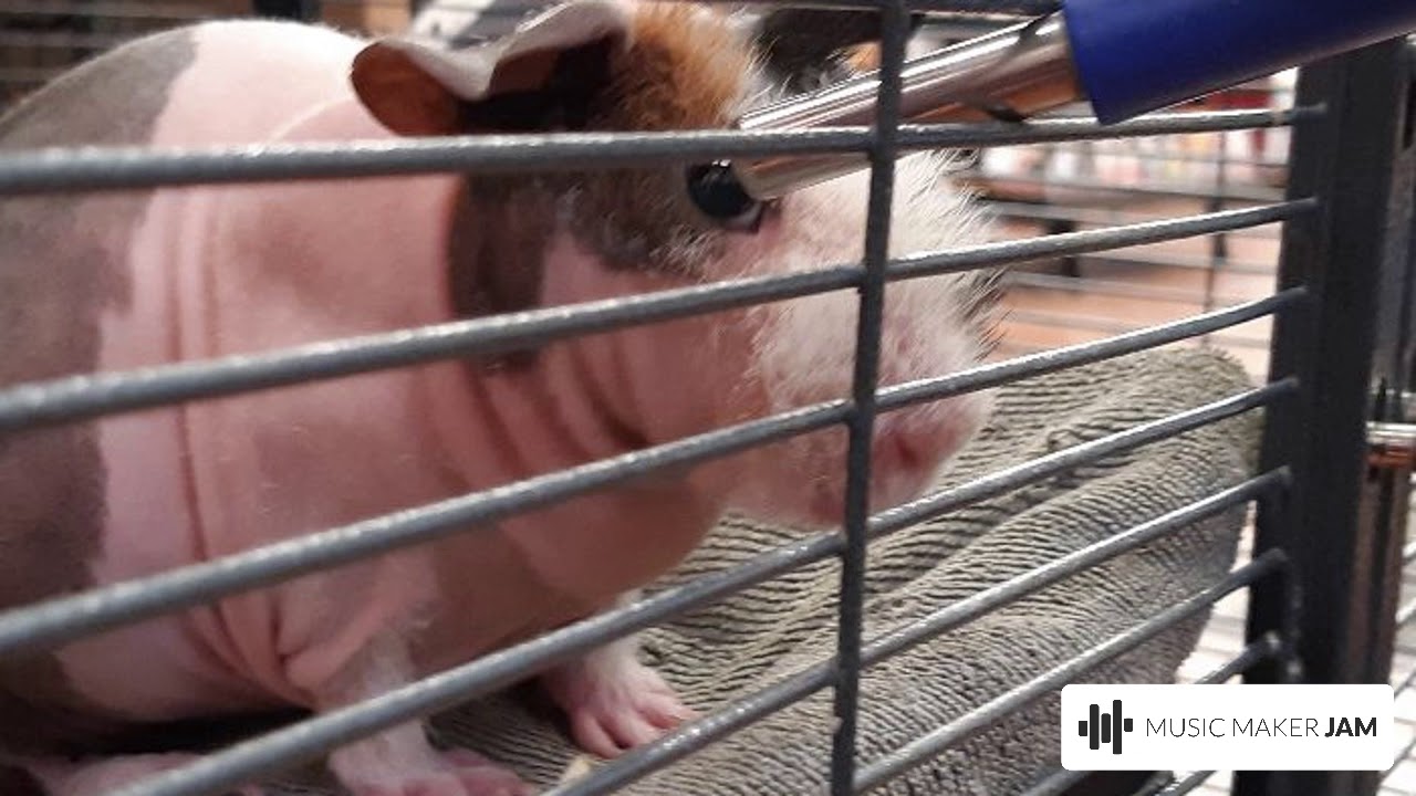 What?!  Yeah!!  -- by 