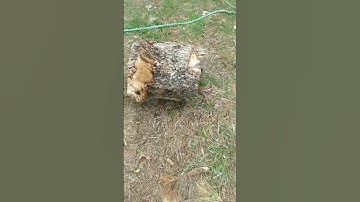 pt 2 of making ugly transitions