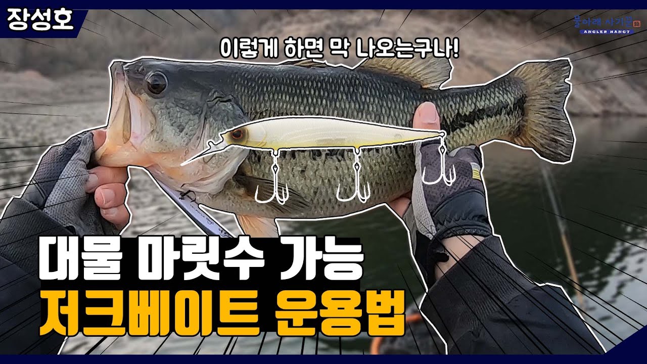 봄 대물 마릿수? 역시 저크베이트!, 장성호 배스낚시