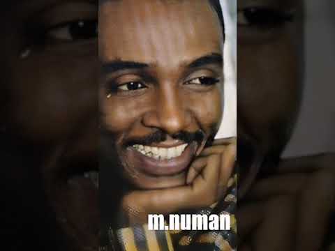 محمود عبد العزيز الس كريه