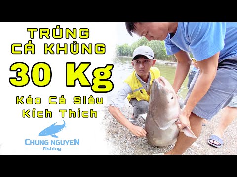 Trúng Cá Khủng 30kg | Vũ Điệu Kéo Cá Siêu Kích Thích | Chung Nguyễn Fishing