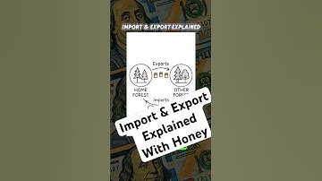 Bears Trading Honey Changes Everything #mindblown #shorts