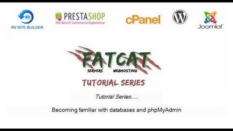 Becoming familiar with databases in phpMyAdmin