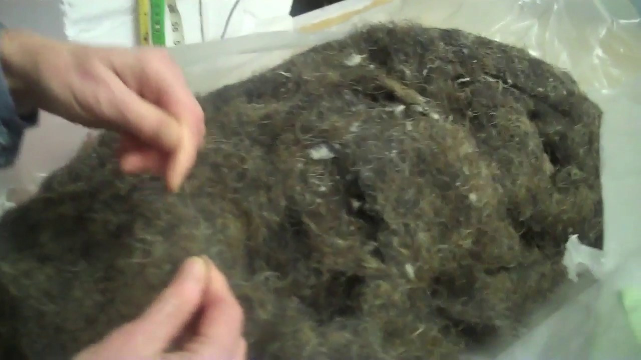 Preparing Horsehair