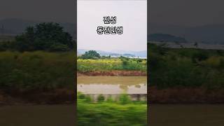 #진성 #동전인생 #7080인기가요 #가요무대 #흘러간옛노래 #트로트
