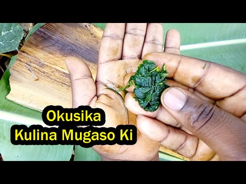 Enfuli Ziyamba Kyi Zirina Mugaso Kyi Ku Mukyala