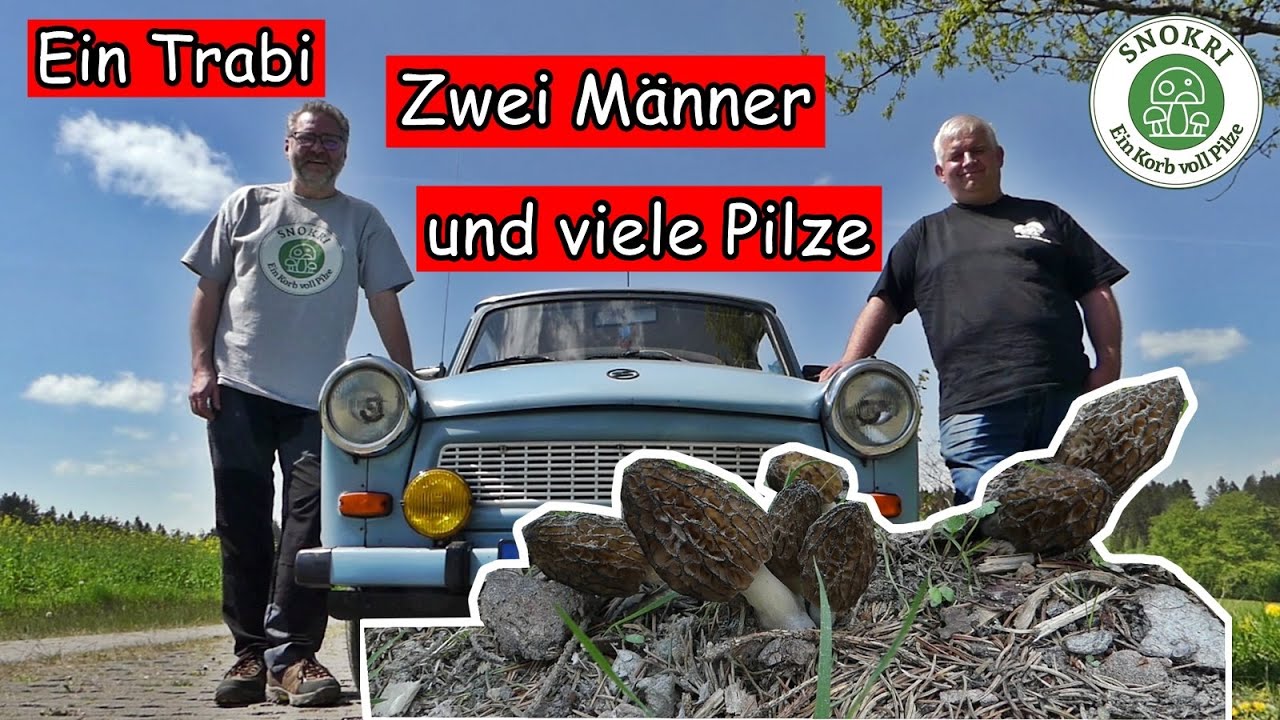 Ein Trabi, zwei Männer und viele Pilze - Frühlings-Pilze im Erzgebirge