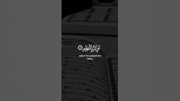 سعد الغامدي سورة النبأ