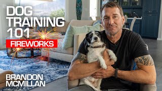 Dog Training 101: Fireworks | Brandon McMillan