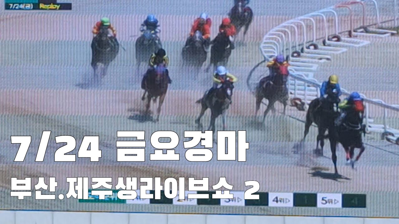 이와중에 한판은 마추겠지!(금요경마 부산.제주 생라이브쇼2