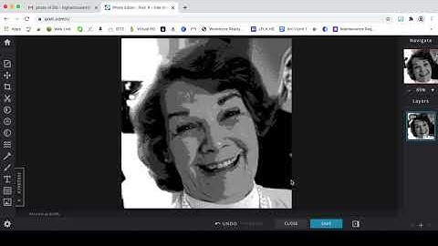 How to Posterize an Image with Pixlr.com/x