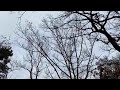 강서구 개화산_200227