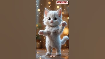 Cute cat dance apt rose bruno mars #cat #dance #tranding