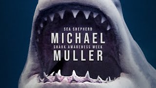 Is Michael Muller Afraid of Sharks? | Shark Awareness Week