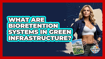What Are Bioretention Systems In Green Infrastructure? - The Geography Atlas