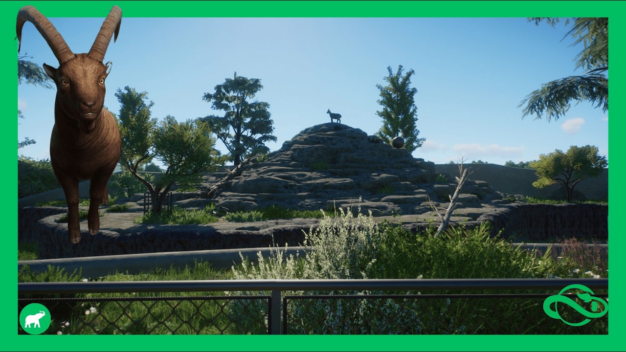 Building an Alpine Ibex Exibit in The Zenith Zoo