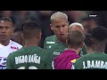 Saint-Etienne-Olympique Lyonnais - L'humiliation - Résumé