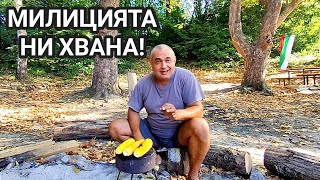 видео: МЛЕЧНА ЦАРЕВИЦА ПЕЧЕНА НА ЖАР ОТ ДЪРВЕНИ ВЪГЛИЩА! КАК НИ ЗАЛОВИ СЕЛСКОСТОПАНСКА МИЛИЦИЯ С ЦАРЕВИЦА.. картинка: МЛЕЧНА ЦАРЕВИЦА ПЕЧЕНА НА ЖАР ОТ ДЪРВЕНИ ВЪГЛИЩА! КАК НИ ЗАЛОВИ СЕЛСКОСТОПАНСКА МИЛИЦИЯ С ЦАРЕВИЦА..