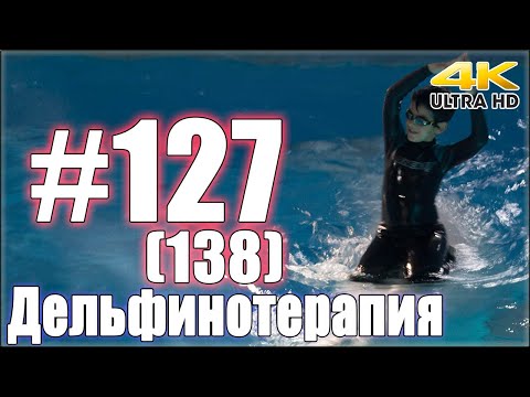 Дельфинотерапия. Занятие №127 (138)