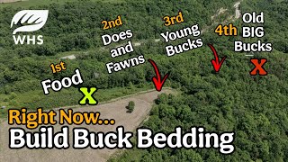 Add More Bucks On Your Land For Hunting Season